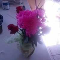 Profile Picture of Crystal Madsen (@crystal-madsen-3) on Quora