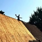 Profile Picture of Joel Fraser (@joel.fraser.523847) on Facebook