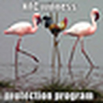 Profile Picture of Steve Booth (@taxiride central coast) on Flickr