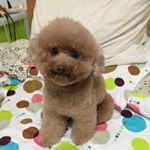 Profile Picture of -zoe-tsai- (@_zoe_tsai_) on Instagram