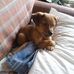 Profile Picture of Dexter Denham (@Dexter-Denham) on Facebook
