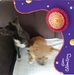 Profile Picture of Randy Henshaw (@randy.henshaw.754) on Facebook