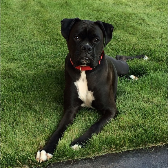 Profile Picture of Chelsea Patridge (@chelseap36) on Poshmark