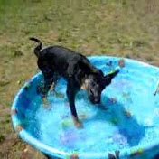 Profile Picture of Stefanie Wilson (@stefaniewilson) on Youtube