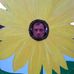 Profile Picture of Keith Provan (@keith.provan.3) on Facebook