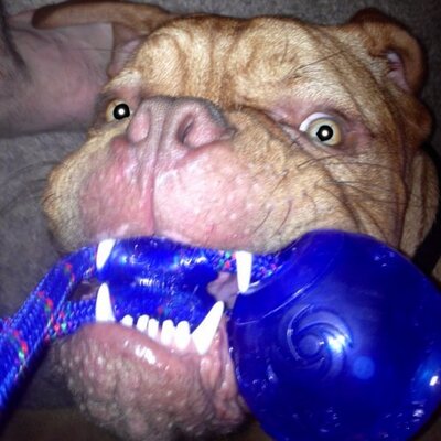 Profile Picture of Clifford Damon (@Clixo2Damon) on Twitter