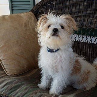 Profile Picture of Tucker Pearson (@Tucker-Pearson) on Facebook
