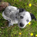 Profile Picture of Jared Boone (@boonalicious__) on Instagram