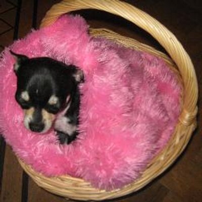 Ria.paeshuys - Twitter Profile Picture of Ria.paeshuys (@riapaeshuys) on Twitter