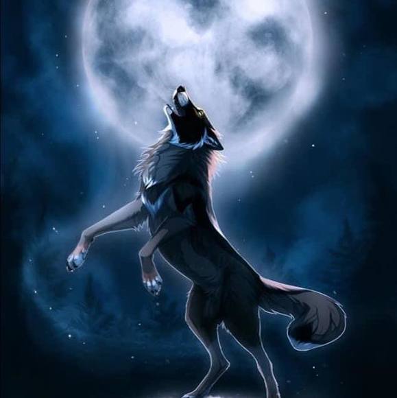 Profile Picture of Scott Girten (@scottgirten6) on Poshmark