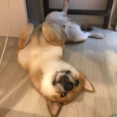 Profile Picture of Jon Tsao (@ebyy0726) on Twitter