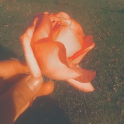 Profile Picture of Josefina Javier (@JosefinaJavier9) on Twitter