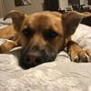 Profile Picture of ryanmazurek817 (@ryanmazurek817) on Tiktok