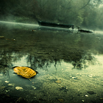 Profile Picture of Daniel Weber (@dani_el_weber) on Flickr