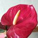 Profile Picture of Сафонов (@volyaspb) on Pinterest