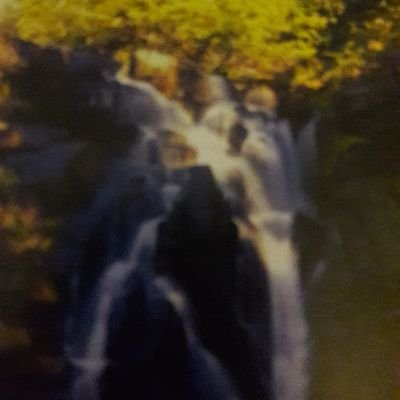 Profile Picture of Michael P Pulley (@MichaelPPulley2) on Twitter