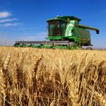 Jacob Friesen - Instagram Profile Picture of Jacob Friesen (@jacob_friesen_neudorf) on Instagram