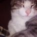 Profile Picture of Ernest Meyer (@ernest.meyer.37) on Facebook
