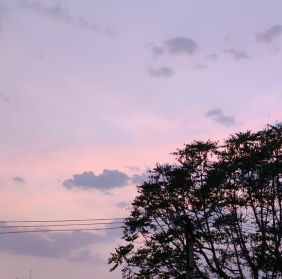 Preethi Shetty - Poshmark Profile Picture of Preethi Shetty (@preethishett434) on Poshmark