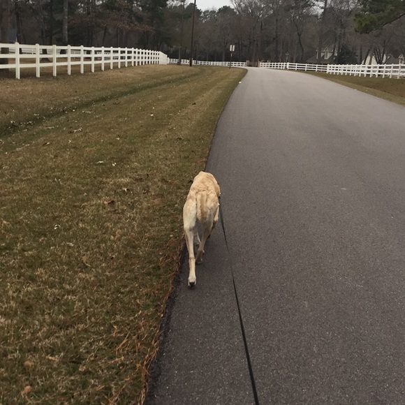 Profile Picture of Gianna Cabella (@gianna_cabella) on Poshmark