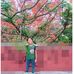 Profile Picture of Bryan Ramal (@bryan.ramal.7) on Facebook