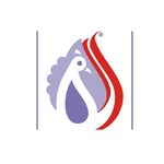 Profile Picture of Satra Traders - Jewellery Making Raw Materials Supplier (@satra.traders) on Instagram