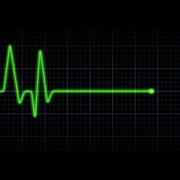 Wayne Harrell - Poshmark Profile Picture of Wayne Harrell (@wharrell1218) on Poshmark