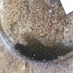 Profile Picture of Brent Small (@bnstillwater19) on Instagram