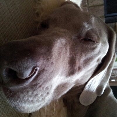 Profile Picture of Clint Hardman (@HardmanClint) on Twitter