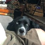 Profile Picture of Pamela Van Gorder Boschert (@pamela.boschert) on Facebook