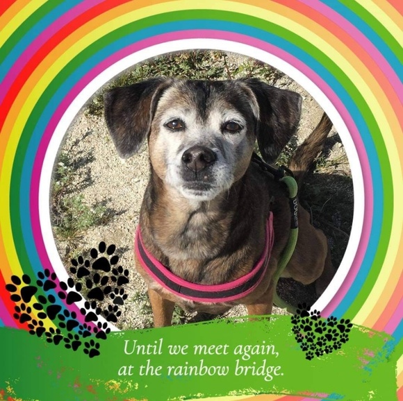 Profile Picture of Kim Pitman (@crazyforvintage) on Poshmark