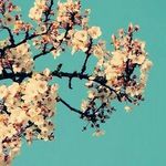 Erica Hamasaki - Instagram Profile Picture of Erica Hamasaki (@erica.hamasaki) on Instagram