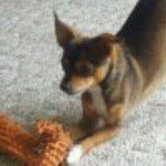 Profile Picture of Dustin Dittrich (@ddittrich89) on Instagram