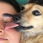 Profile Picture of Rocco, Theo, and Brady (@doxieden) on Instagram