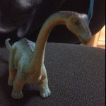 Profile Picture of francis_dino (@francis_dino) on Instagram