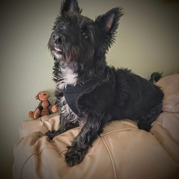 Wilfredo Caban - Poshmark Profile Picture of Wilfredo Caban (@cabwc) on Poshmark