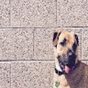 Profile Picture of Seth Price (@sethprice3422) on Youtube