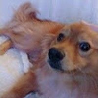 Caleb Cullen - Quora Profile Picture of Caleb Cullen (@caleb-cullen-12) on Quora