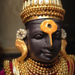 Profile Picture of माझा हरी official (@maza_hari_official) on Instagram