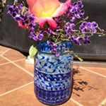 Profile Picture of Amy Lutes (@amycatfriend) on Instagram