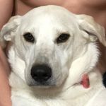 Profile Picture of staceyulm (@staceyulm) on Instagram