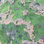 Profile Picture of Alex Walker (@al.j.walker) on Instagram