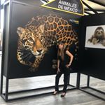Profile Picture of Evelia Dominguez (@evelyntoricest) on Instagram