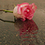 Profile Picture of Beth Olson (@loveisthereversal) on Flickr