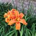 Profile Picture of Ale Corso (@ale.corso.397) on Facebook
