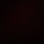 Profile Picture of Ayden_scott_rose (@the_aydenrose) on Instagram