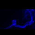 Bayron Vásquez - Instagram Profile Picture of Bayron Vásquez (@_flakitho_502) on Instagram