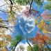 Profile Picture of Marilyn Eastman Hamm (@marilyn.hamm.31) on Facebook