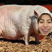 Profile Picture of Bryanna Jimenez (@bryanna-jimenez-6) on Quora