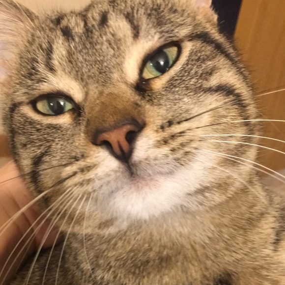 Profile Picture of Oliwia Wolek (@oliwkaa) on Poshmark